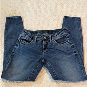 Silver Jeans Women's Skinny Jeans in Blue